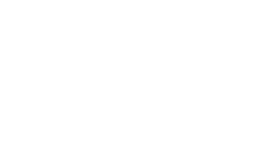 Logo Terziaria CAT Pordenone.