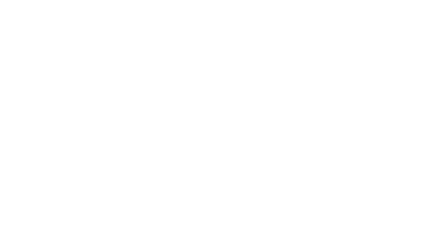 Logo Terziaria CAT Pordenone.