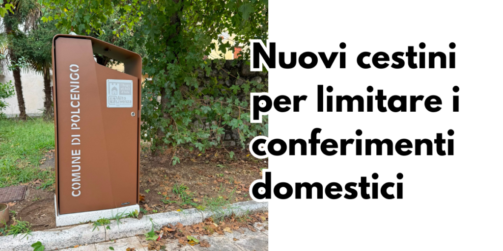 Nuovi cestini